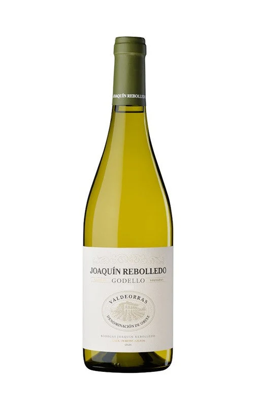 Joaquín Rebolledo Godello 2025