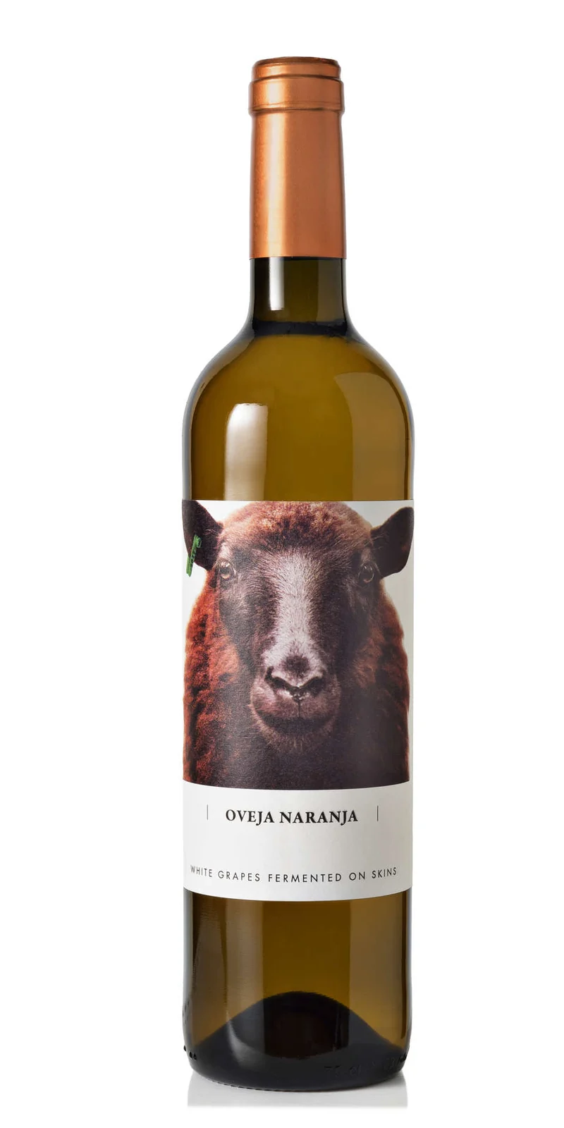 Oveja - Naranja