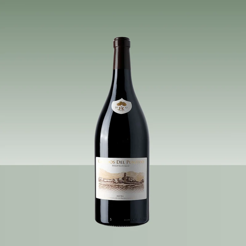 VIÑEDOS DE PÁGANOS | CALADOS DEL PUNTIDO 2017 75cl