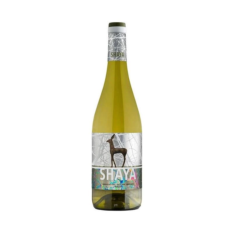 Shaya 2024