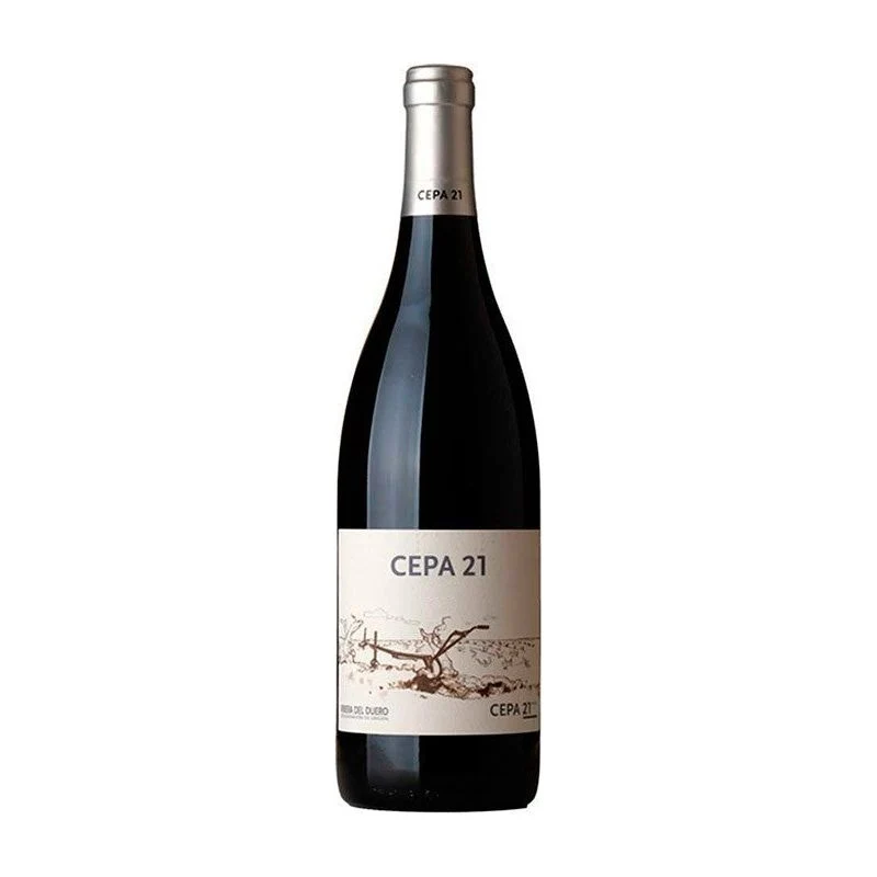 Cepa 21 2023