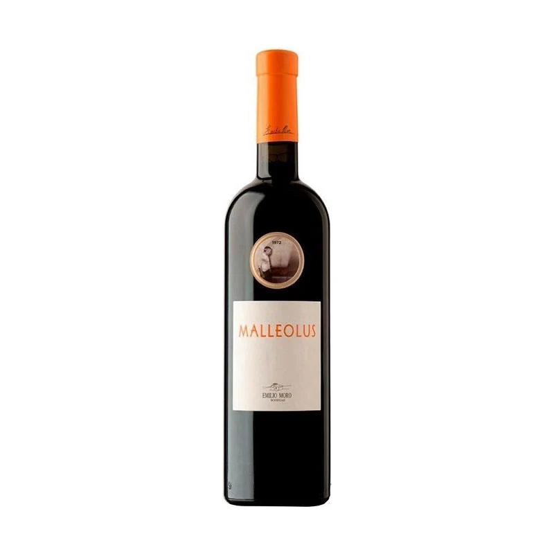 Magnum Malleolus 2023