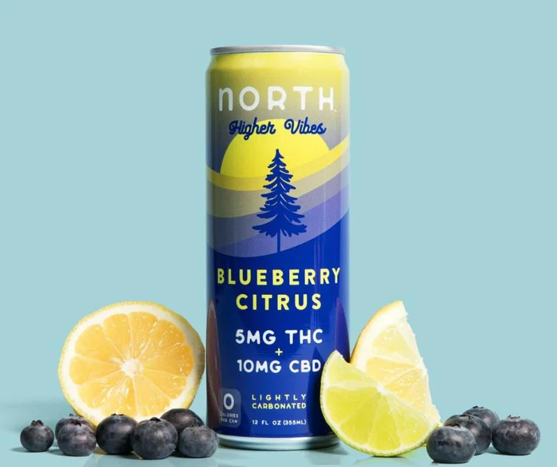 NA THC Cocktail North Higher Vibes 4pk Blueberry Citrus