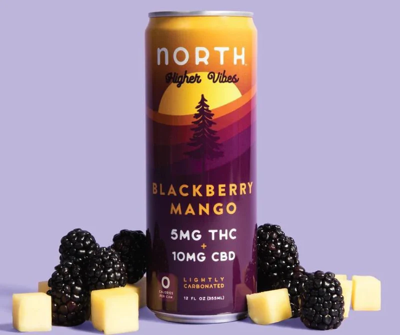 NA THC Cocktail North Higher Vibes 4pk Blackberry Mango