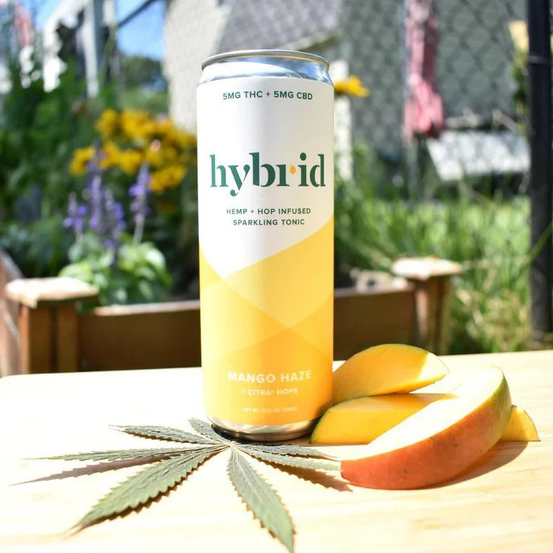 NA THC Cocktail Hybrid 4pk Mango Haze