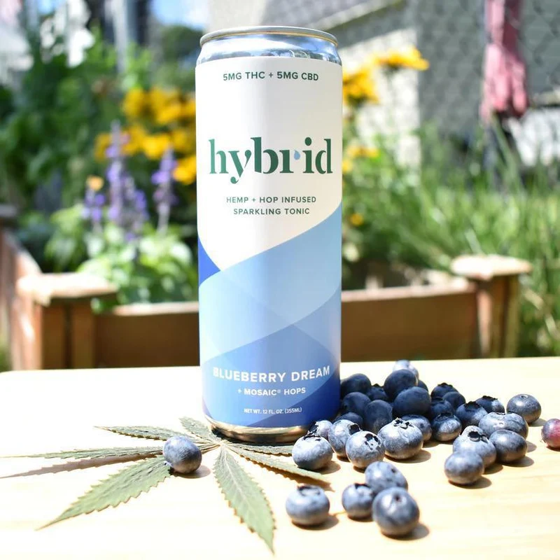 NA THC Cocktail Hybrid 4pk Blueberry Dream