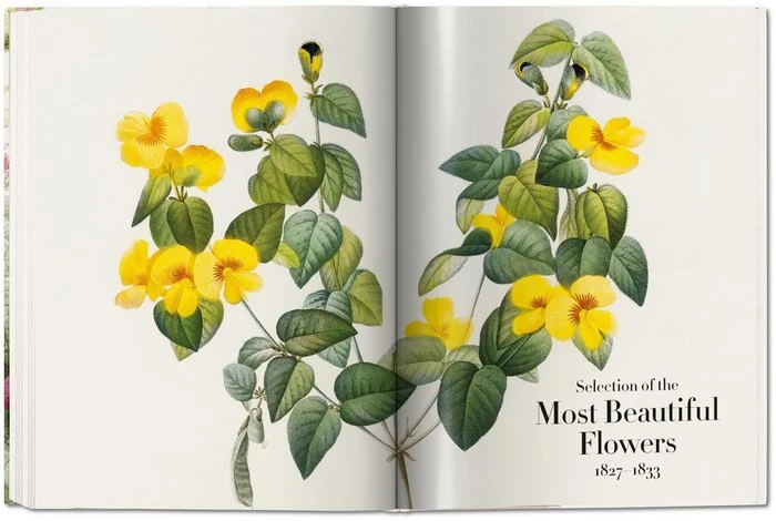 LIBRO DE LAS FLORES, TASCHEN