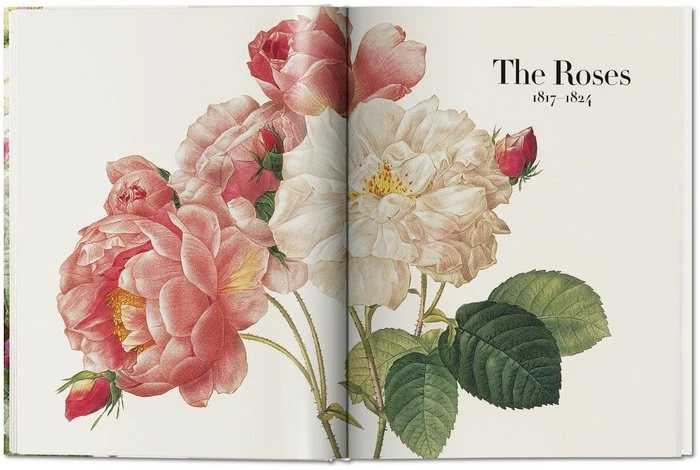 LIBRO DE LAS FLORES, TASCHEN