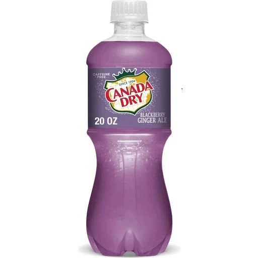 NA Drinks Canada Dry 20oz Blackberry Ginger Ale