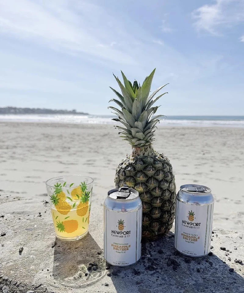THC RI Newport Cannabis Co 4pk Fred's Tilted Pineapple 5mg