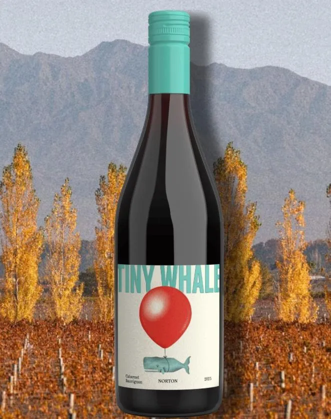 Cabernet Tiny Whale