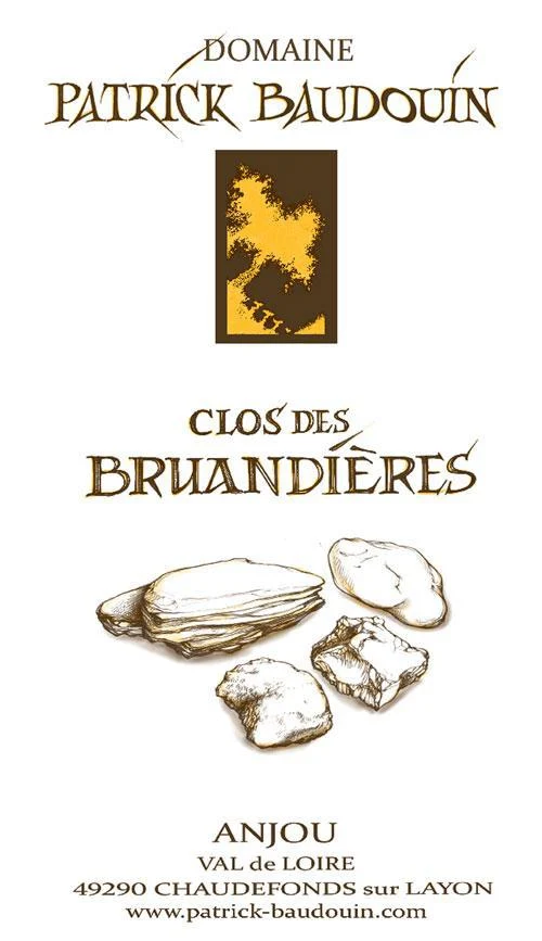 White Wine Patrick Baudouin Anjou Blanc 'Le Clos de Bruandieres