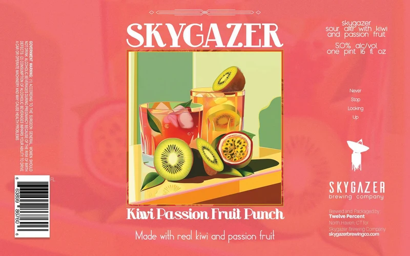 Beer SkyGazer Brewing Co. 4pk Kiwi Passion Fruit Punch