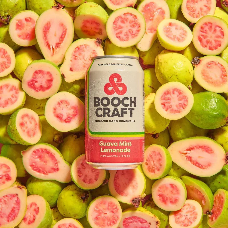 Hard Kombucha BoochCraft 6pk Seasonal Guava Mint Lemonade