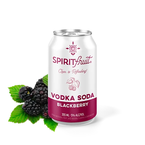 Cocktail Spirit Fruit 4pk Blackberry Vodka Soda