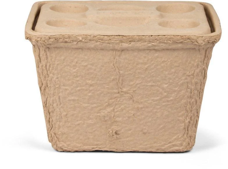 Misc Cooler Igloo Biodegradable