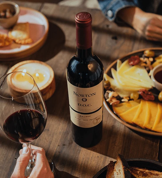 Norton Lujan De Cuyo Malbec DOC