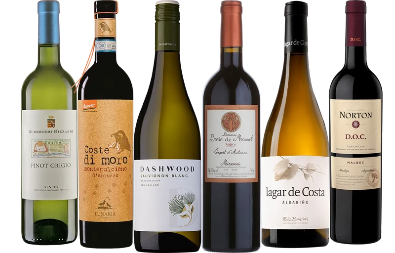 Wine Buyers' Choice - 6 Bottle Mixed Case