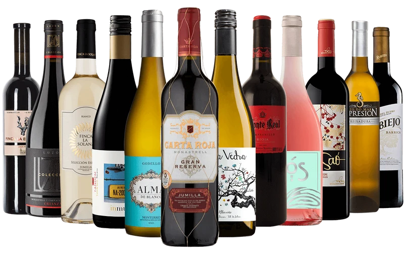 Spanish Discovery - 12 Bottle Mixed Case