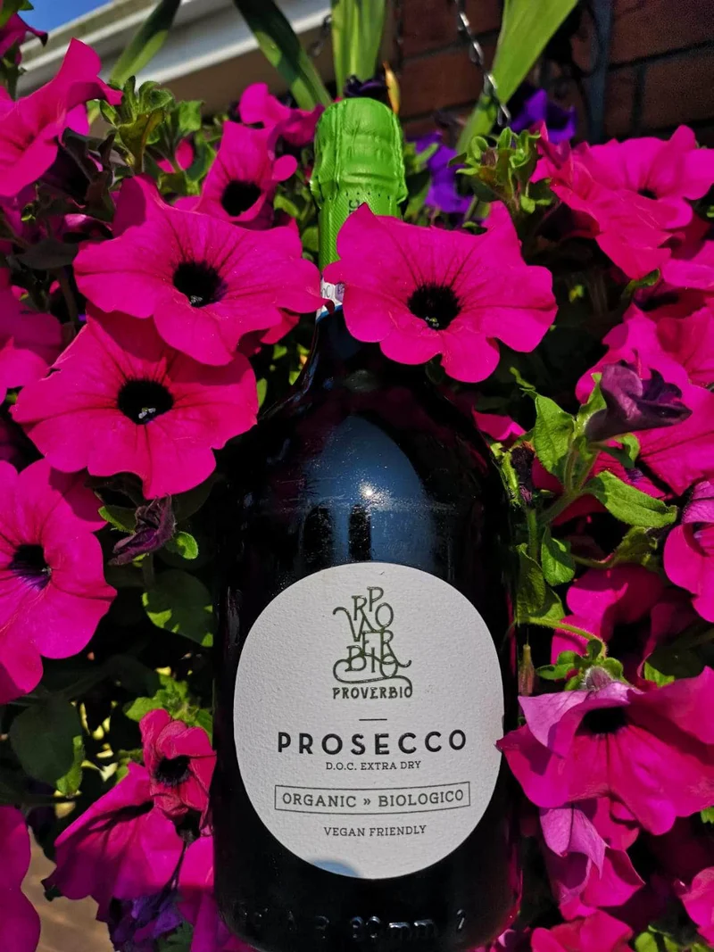 Proverbio Organic Prosecco