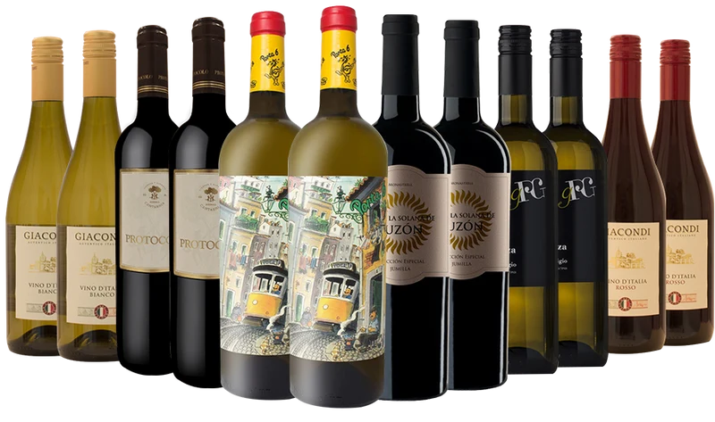 The Party Case - 12 Bottle Case